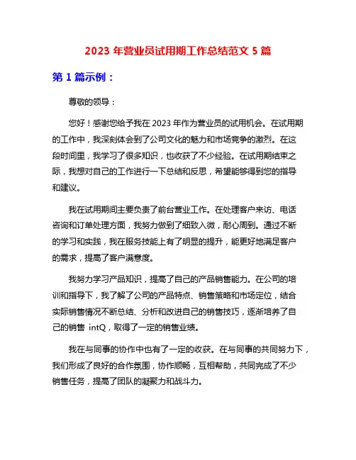 2023年营业员试用期工作总结范文5篇