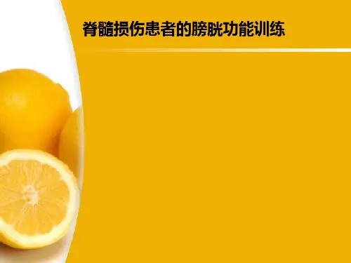 《神经源性膀胱功能训练》课件