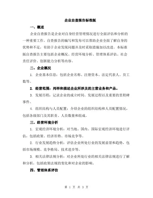 企业自查报告标准版