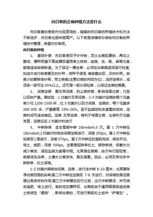 向日葵的正确种植方法是什么