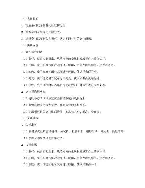 金相试样实训报告