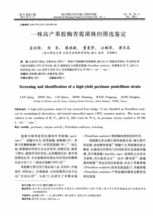 一株高产果胶酶青霉菌株的筛选鉴定
