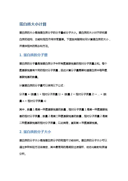 蛋白质大小计算