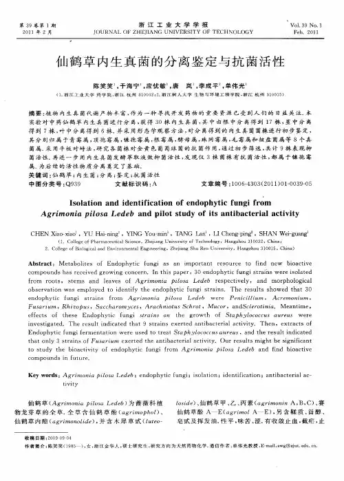 仙鹤草内生真菌的分离鉴定与抗菌活性