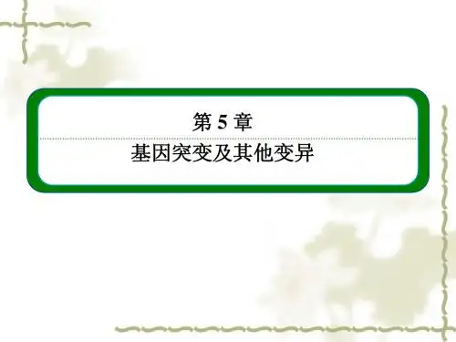 (人教版)生物必修二：5-2《基因的突变及其他变异》ppt课件