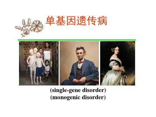 单基因遗传病PPT课件