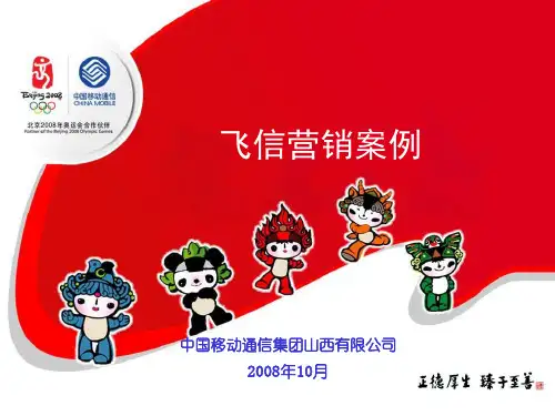 山西公司“飞信业务营销”汇报材料精品文档