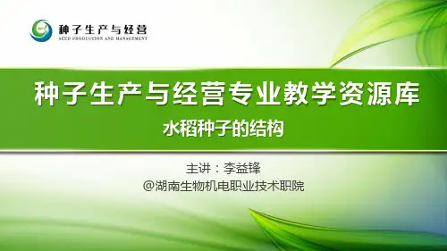 47-水稻种子的结构