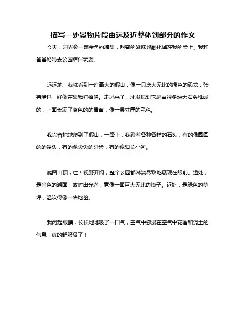 描写一处景物片段由远及近整体到部分的作文