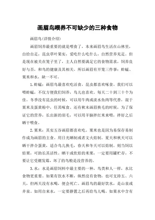画眉鸟喂养不可缺少的三种食物