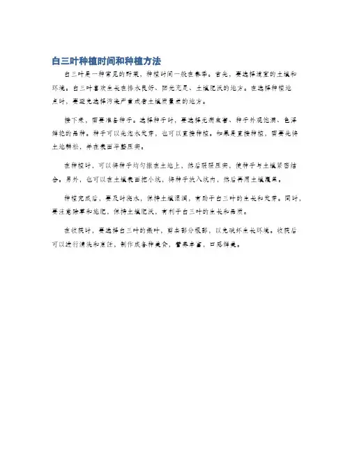 白三叶种植时间和种植方法