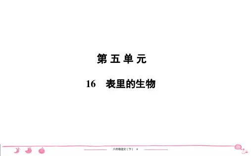 六年级下册人教版语文习题课件 第5单元 16 表里的生物