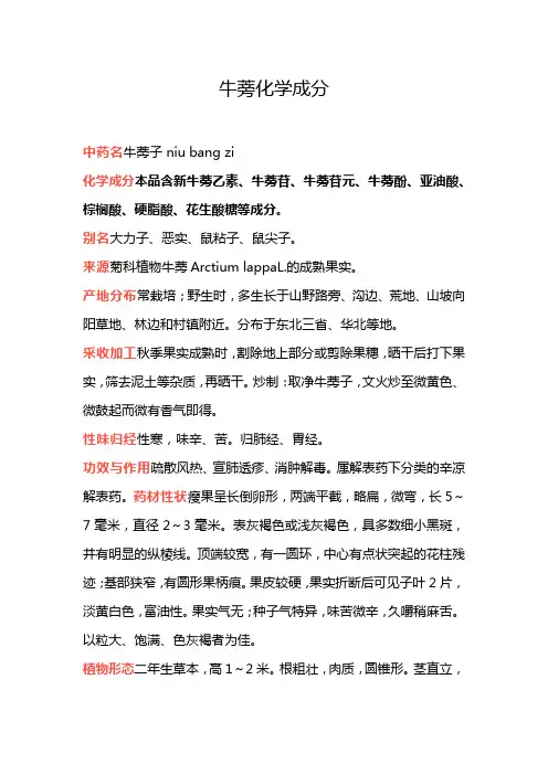 牛蒡化学成分