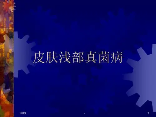 感染性皮肤病ppt课件
