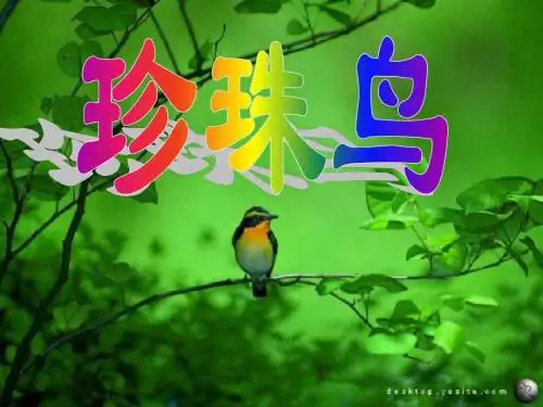 《16珍珠鸟》新ppt课件2(1)