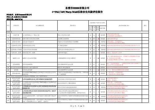 反恐安全风险评估报告