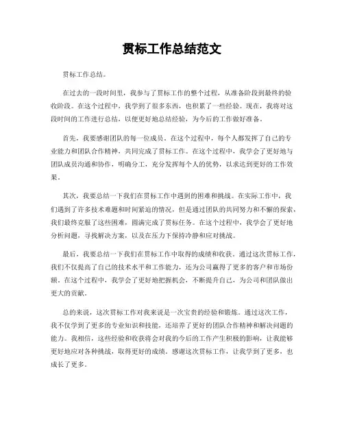 贯标工作总结范文