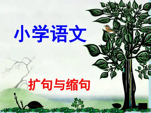 缩句、扩句复习公开课获奖课件