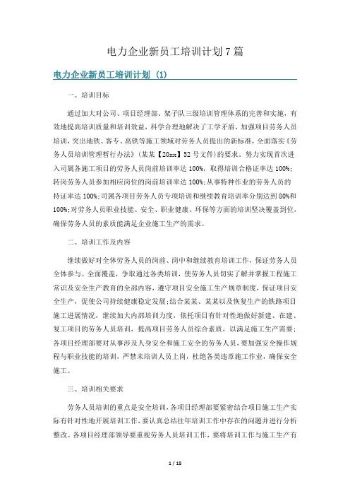 电力企业新员工培训计划7篇