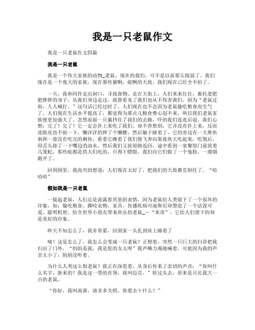 我是一只老鼠作文