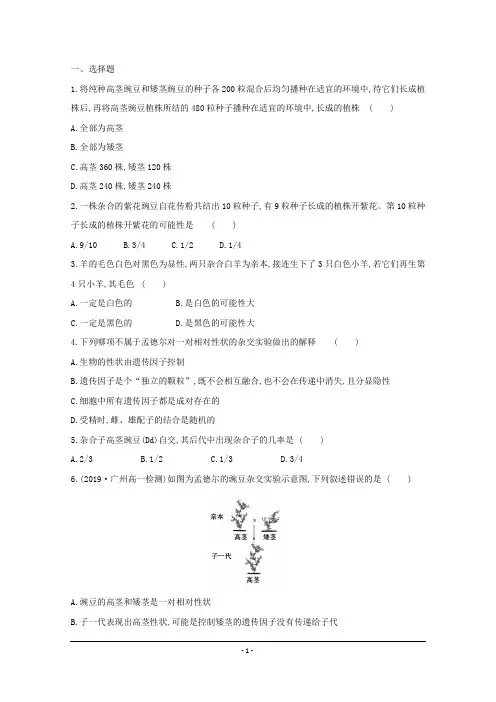高中生物必修二人教版课时作业 1.1.1 一对相对性状的杂交实验