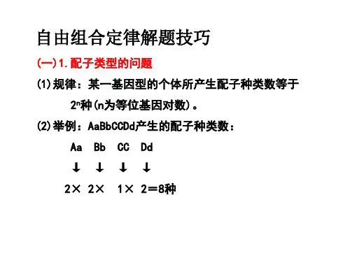 自由组合定律解题方法