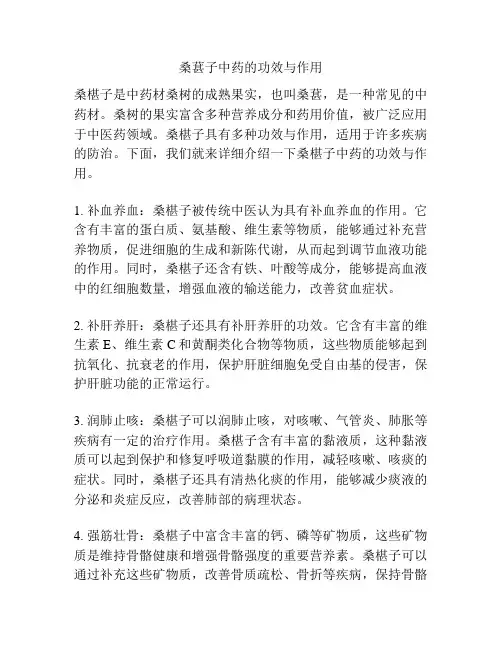 桑葚子中药的功效与作用