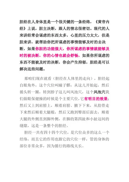 胆经