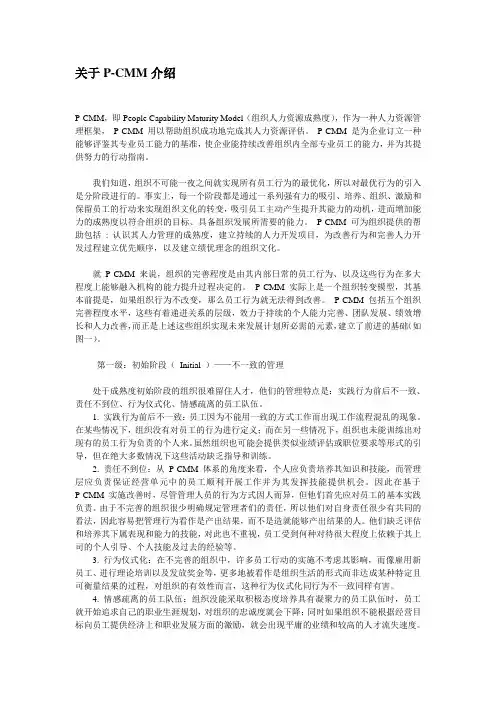 关于P-CMM介绍
