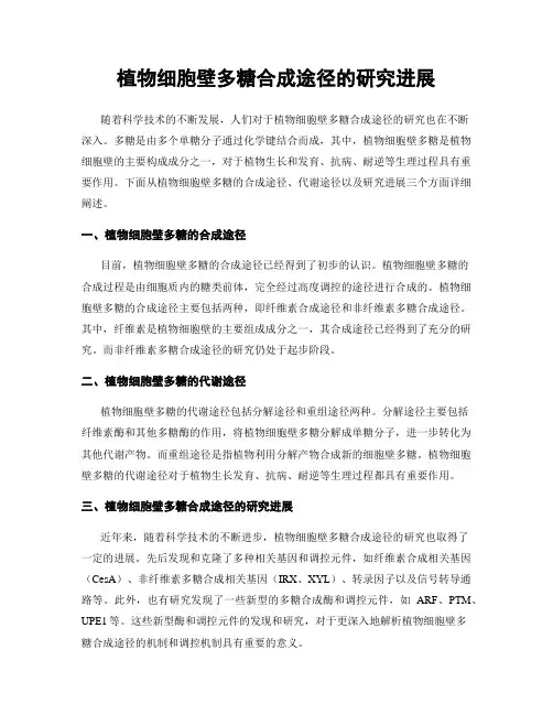 植物细胞壁多糖合成途径的研究进展