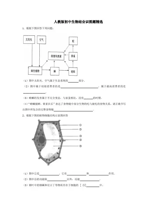 (完整word版)人教版初中生物识图专题(整理版)汇总