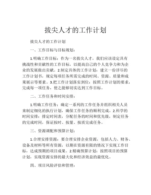 拔尖人才的工作计划