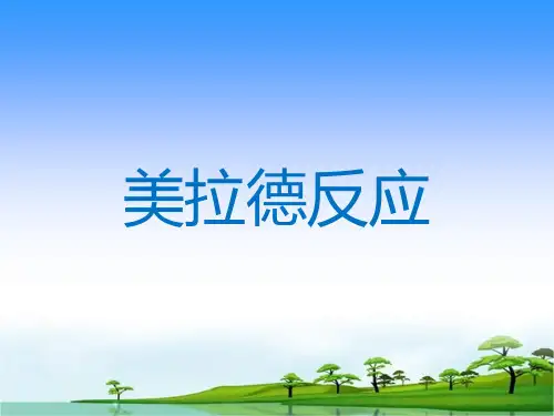 美拉德反应