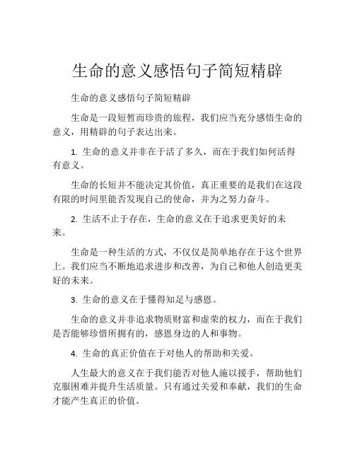生命的意义感悟句子简短精辟