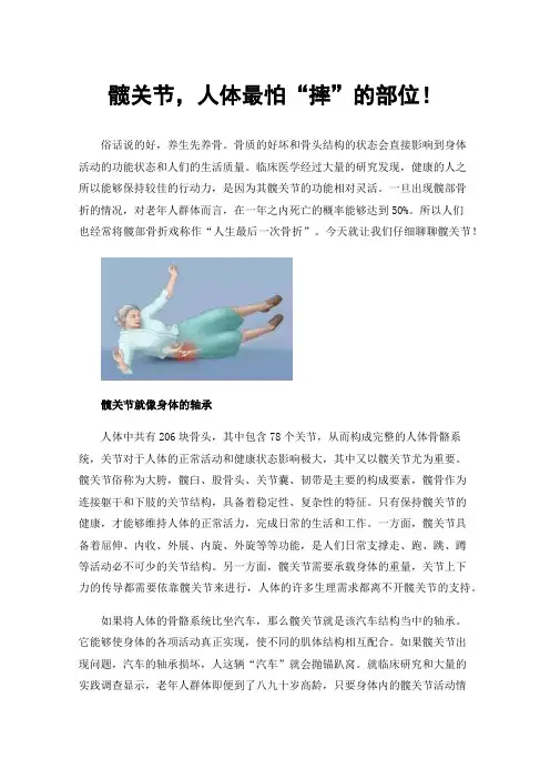 髋关节，人体最怕“摔”的部位！