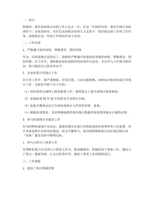 街道统计站个人工作总结