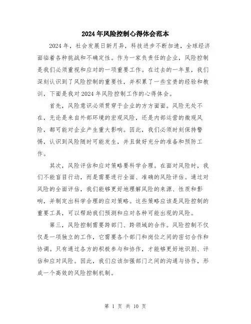 2024年风险控制心得体会范本（5篇）