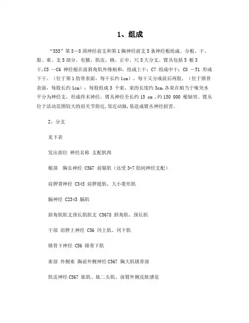 臂丛神经损伤康复
