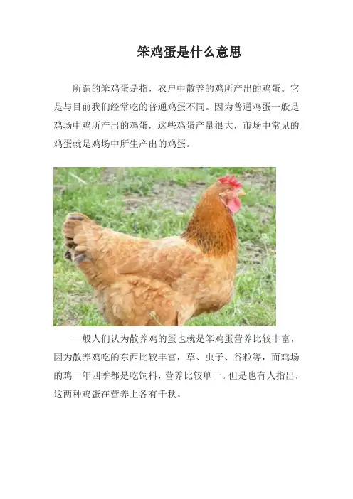 笨鸡蛋是什么意思