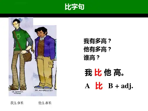 对外汉语比字句ppt课件