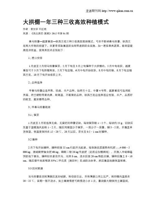 大拱棚一年三种三收高效种植模式