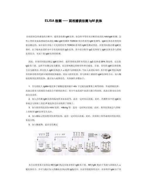 ELISA检测