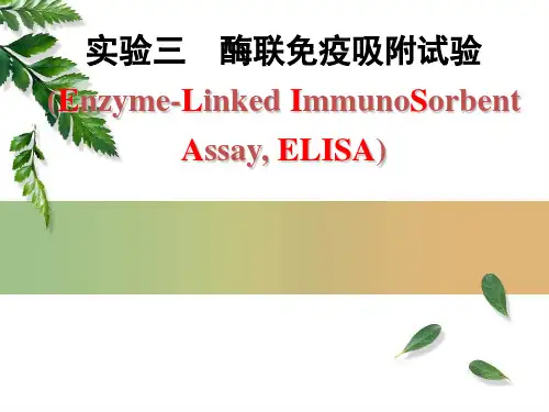 实验三  酶联免疫吸附试验(医学免疫学)