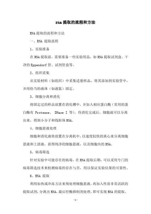 rna提取的流程和方法
