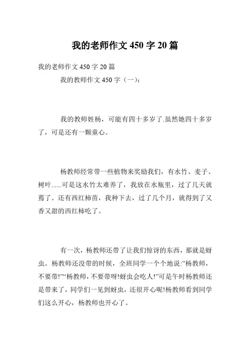 我的老师作文450字20篇