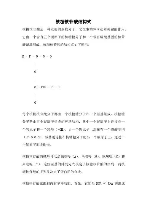 核糖核苷酸结构式