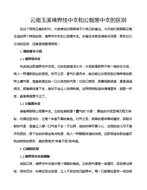云南玉溪境界忮中支和公烟黑中支的区别