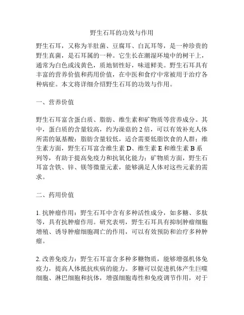 野生石耳的功效与作用