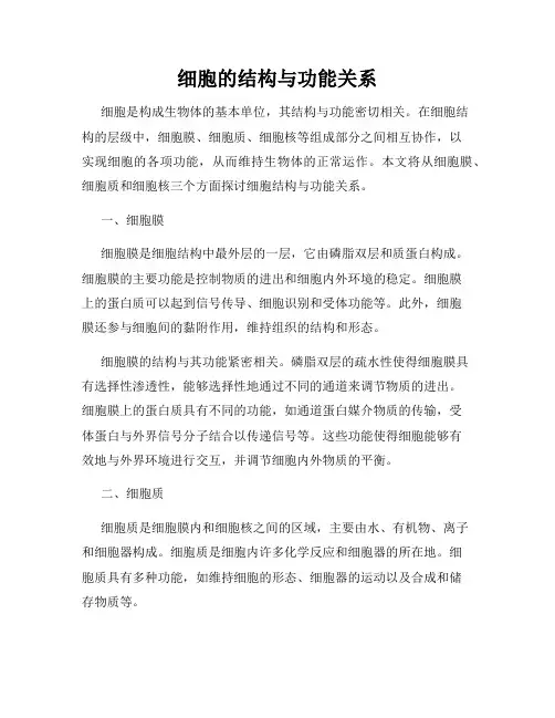 细胞的结构与功能关系