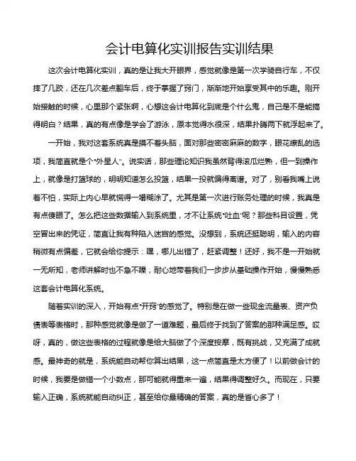 会计电算化实训报告实训结果